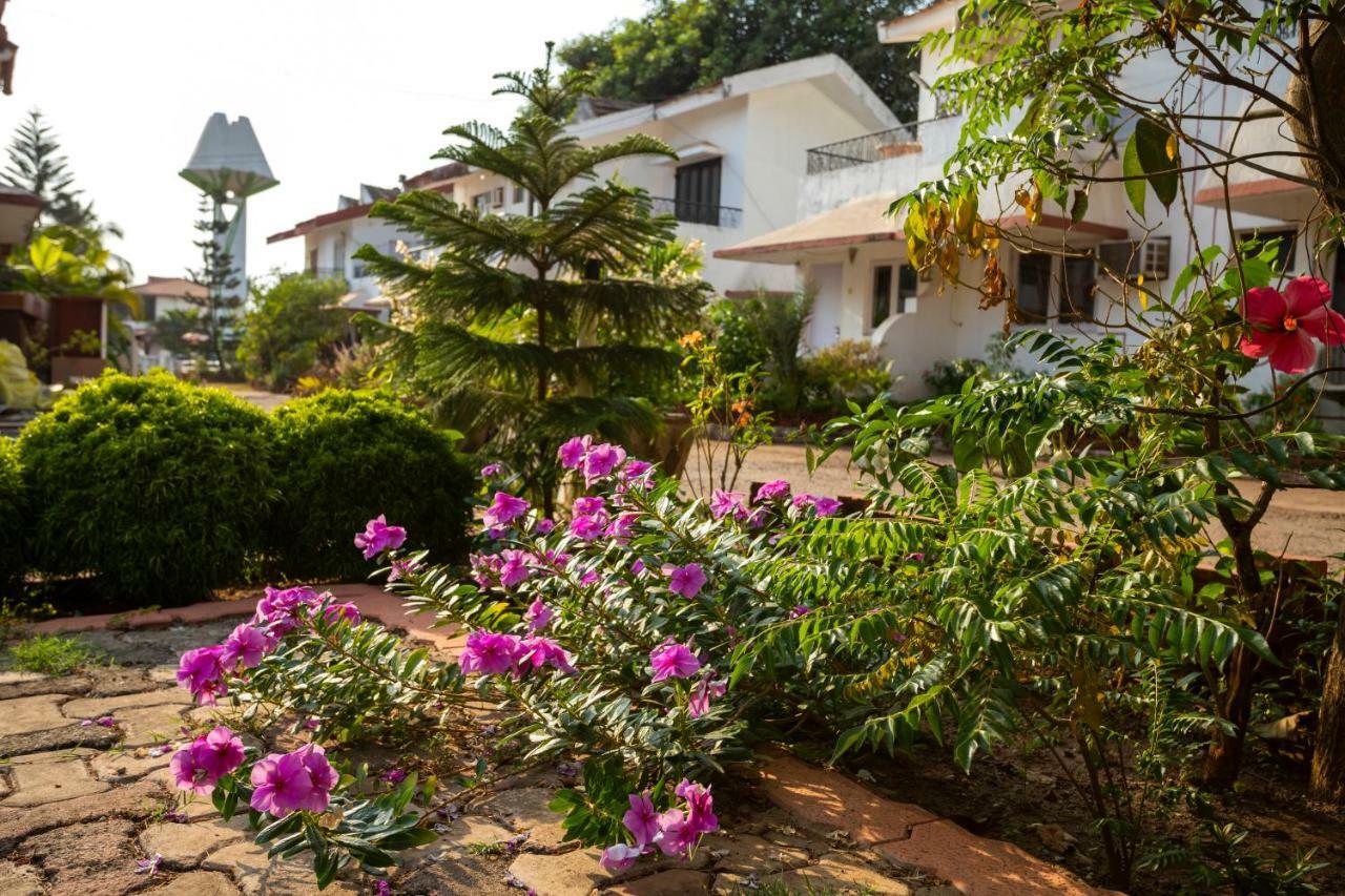 Aspirealconvilla-2Bhk-Beachtouch-Candolim Kültér fotó